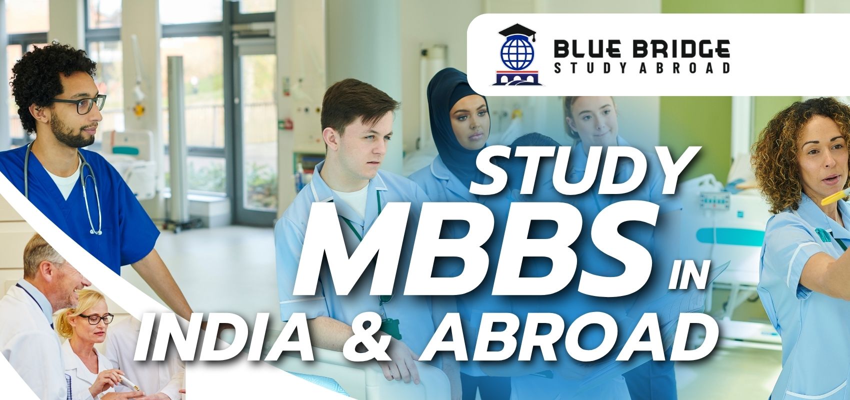 Study Abroad BlueBirdge (1)